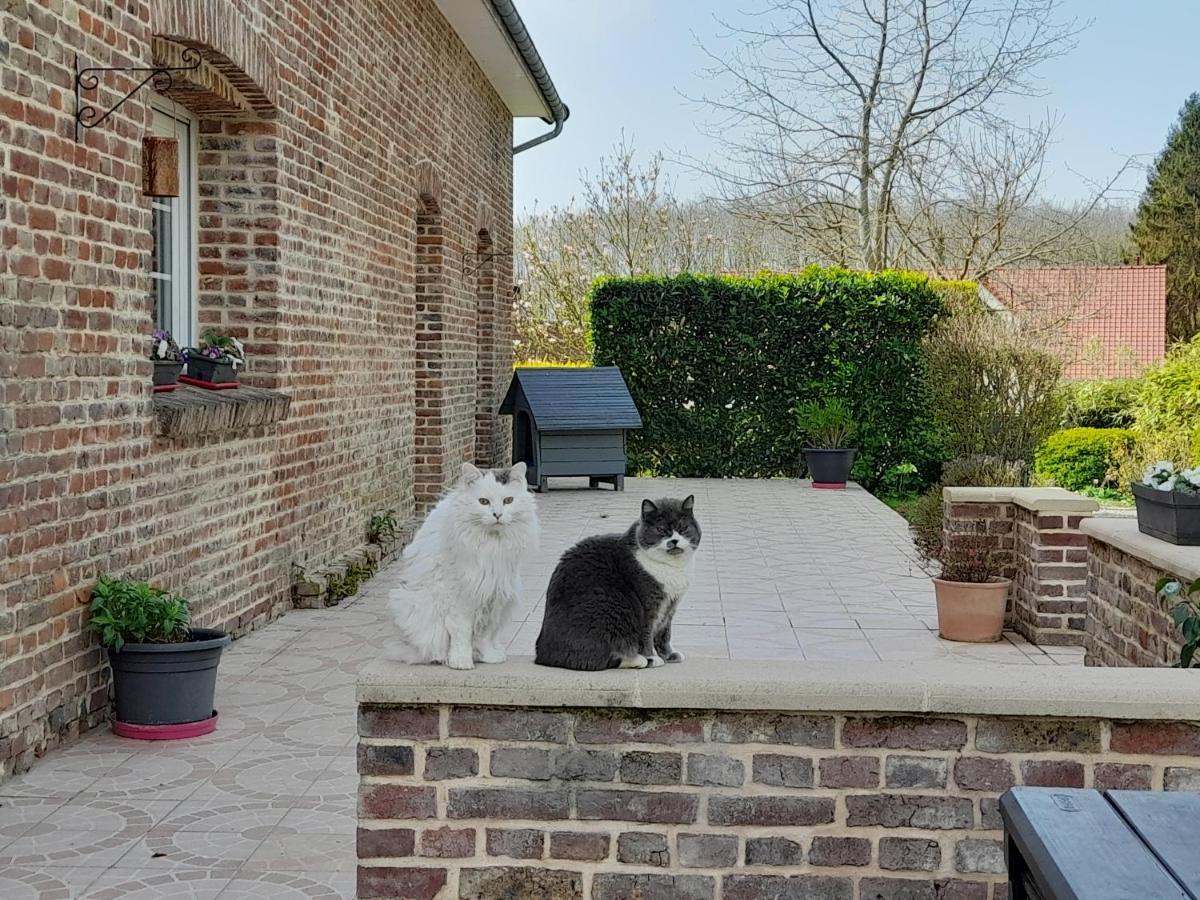 Gîtes Aux Charmes de la Baie avec parking et terrain clos Buigny-Saint-Maclou Extérieur photo